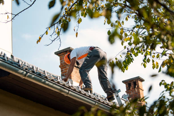 Best Roof Inspection Near Me  in Effort, PA