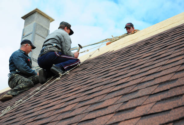 Best Roof Maintenance Services  in Effort, PA